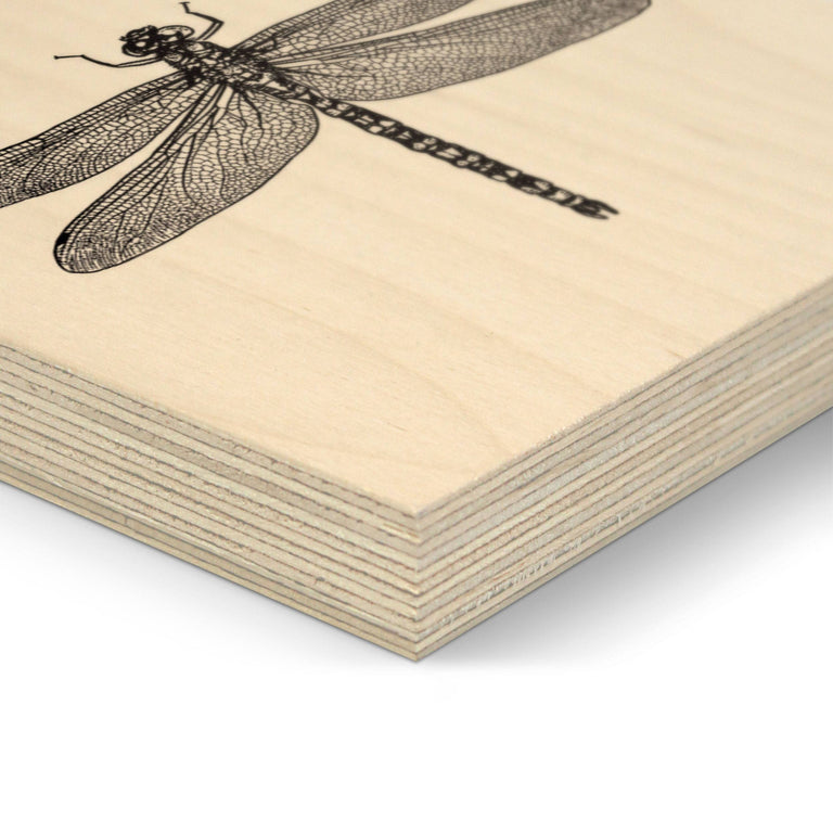 Houtprint Dragonfly
