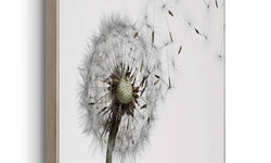 Ingelijste print Clean White
