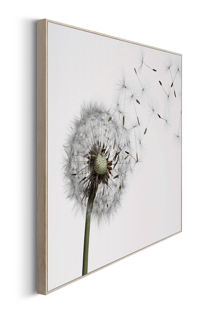 Ingelijste print Clean White