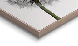 Ingelijste print Clean White