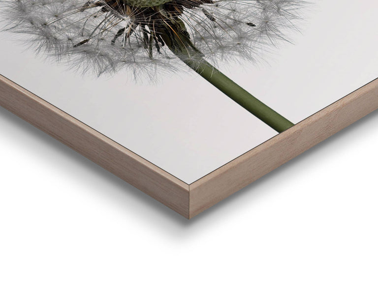 Ingelijste print Clean White