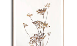 Ingelijste print Dried Flowers