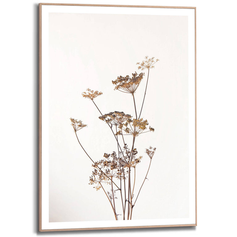 Ingelijste print Dried Flowers
