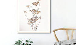 Ingelijste print Dried Flowers