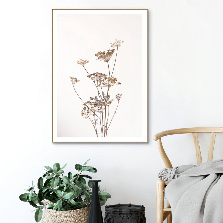 Ingelijste print Dried Flowers