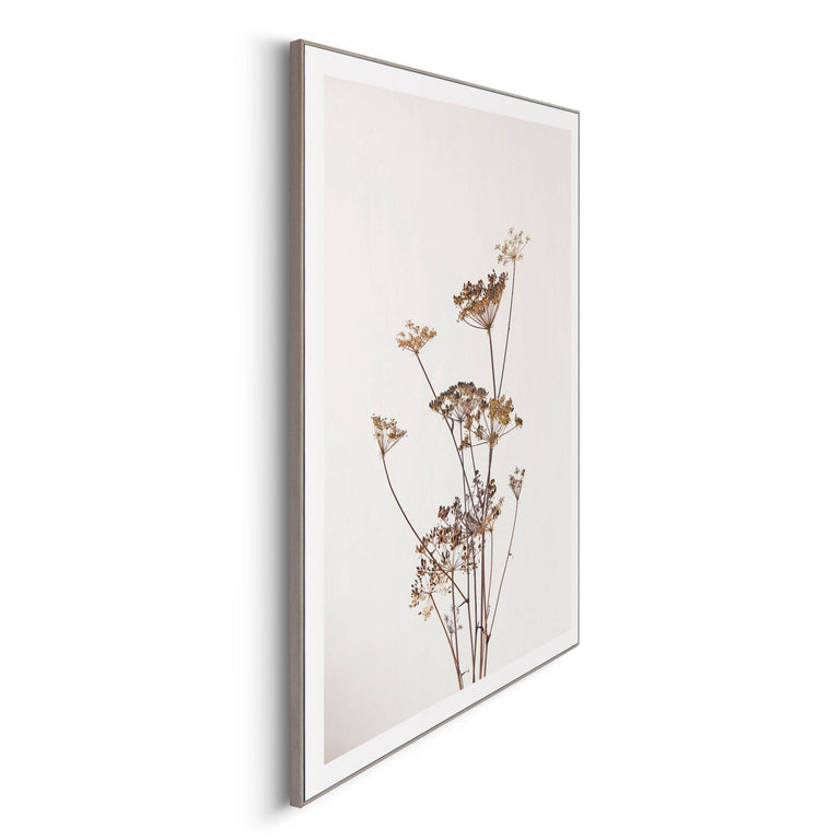 Ingelijste print Dried Flowers
