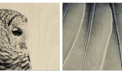 Set van 2 houtprints Owl en Fine Feathers