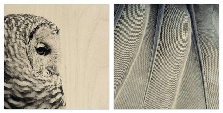 Set van 2 houtprints Owl en Fine Feathers