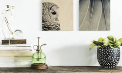 Set van 2 houtprints Owl en Fine Feathers