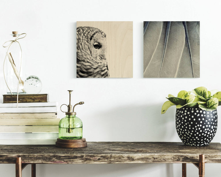 Set van 2 houtprints Owl en Fine Feathers