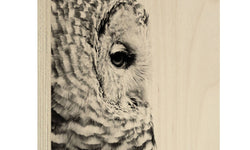 Set van 2 houtprints Owl en Fine Feathers