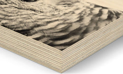 Set van 2 houtprints Owl en Fine Feathers