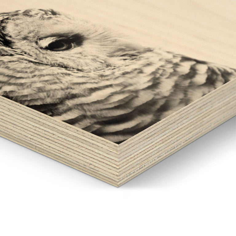 Set van 2 houtprints Owl en Fine Feathers