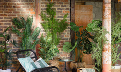 Kunstplant Jungle Fever