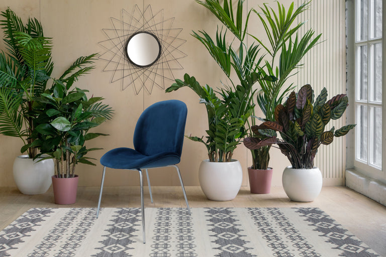Set van 2 eetkamerstoelen Charles velvet