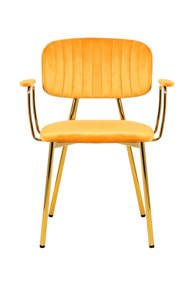 Set van 2 eetkamerstoelen Giselle velvet