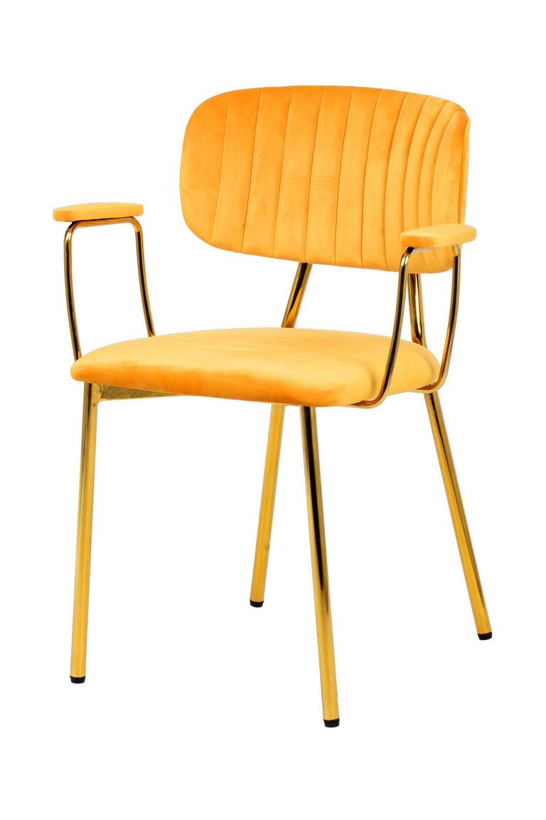 Set van 2 eetkamerstoelen Giselle velvet