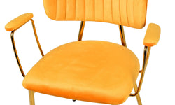 Set van 2 eetkamerstoelen Giselle velvet