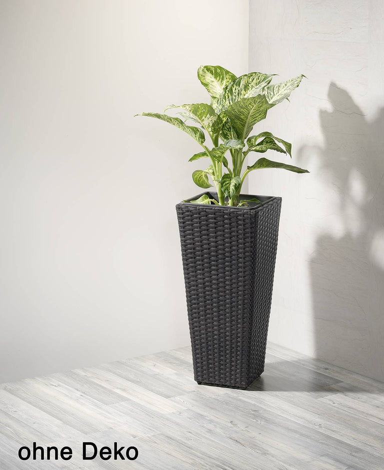 Plantenbak Serenity