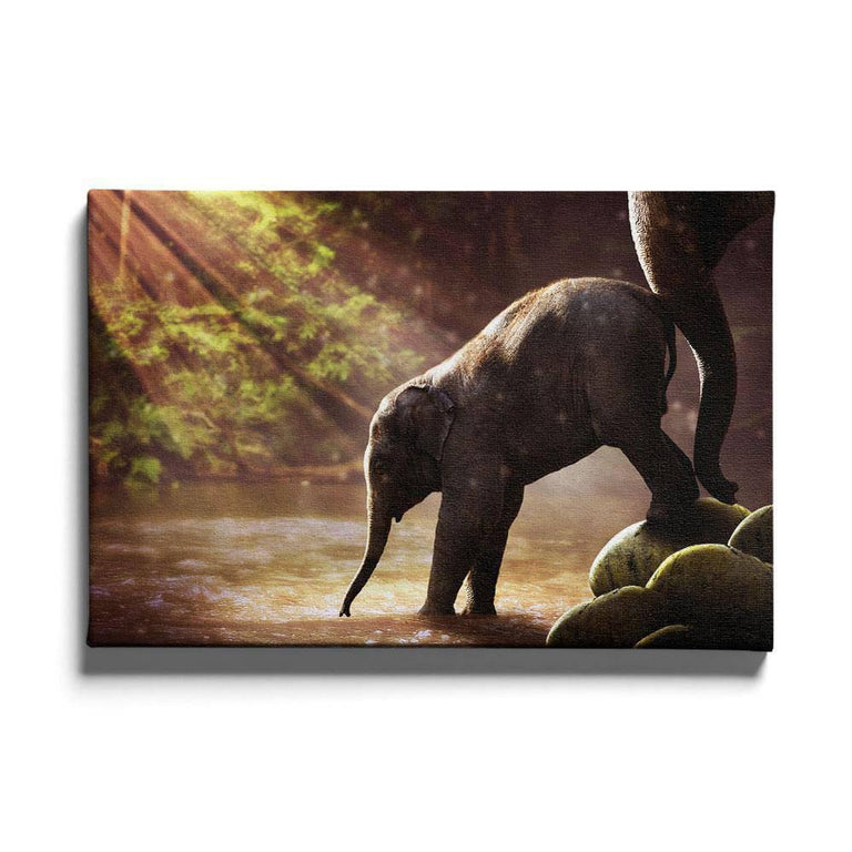 Canvas schilderij Baby Olifant