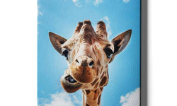 Canvas schilderij Crazy Giraffe