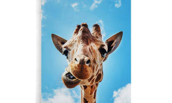 Canvas schilderij Crazy Giraffe