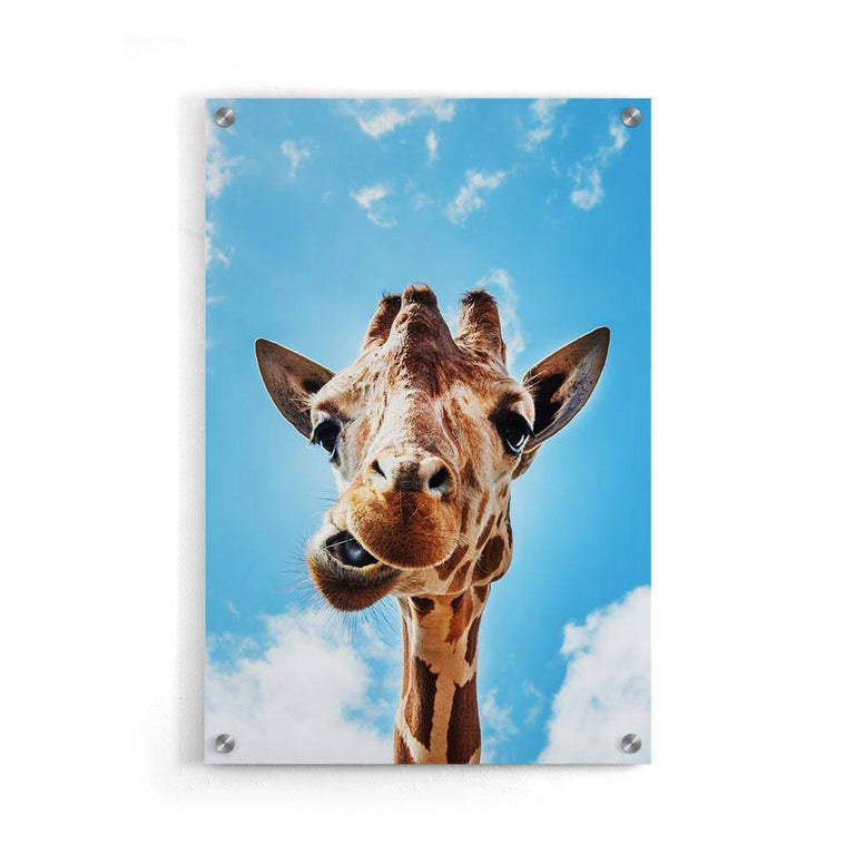 Canvas schilderij Crazy Giraffe