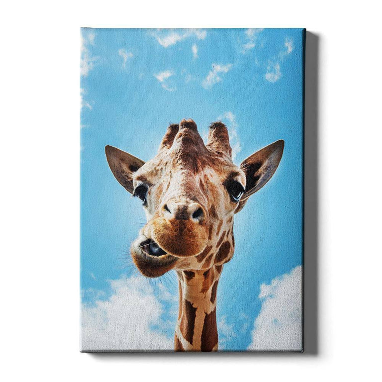 Canvas schilderij Crazy Giraffe