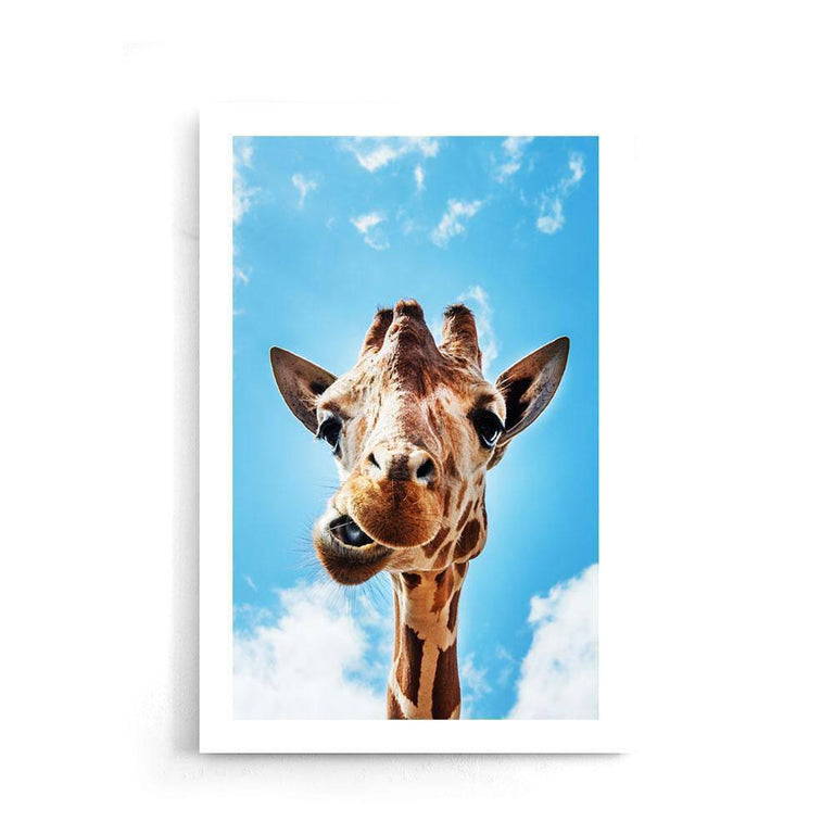 Canvas schilderij Crazy Giraffe