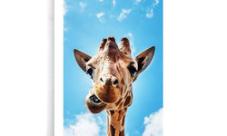 Ingelijste poster Crazy Giraffe