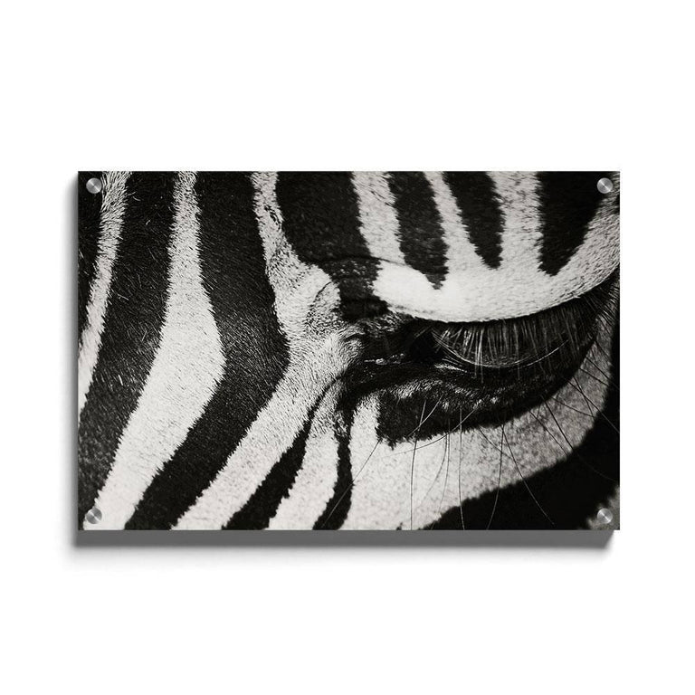 Ingelijste poster Zebra Up Close