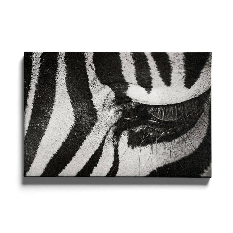 Ingelijste poster Zebra Up Close