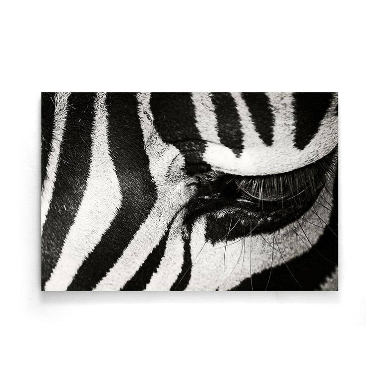 Ingelijste poster Zebra Up Close