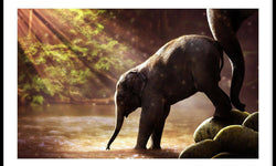 Plexiglas schilderij Baby Olifant