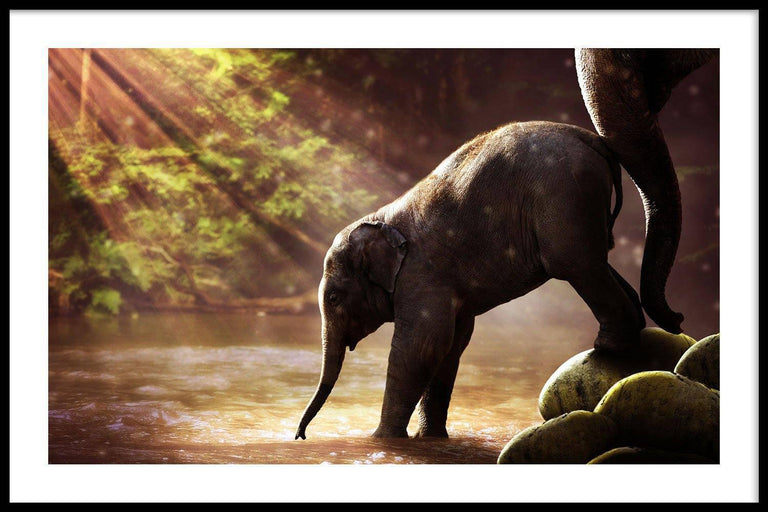 Plexiglas schilderij Baby Olifant
