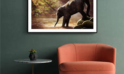 Plexiglas schilderij Baby Olifant