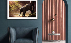 Plexiglas schilderij Baby Olifant