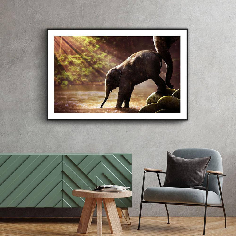 Plexiglas schilderij Baby Olifant