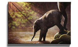Plexiglas schilderij Baby Olifant