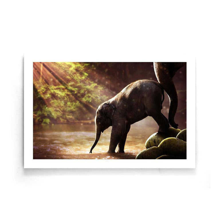 Plexiglas schilderij Baby Olifant