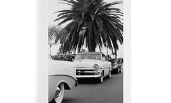 Plexiglas schilderij Classic Car Under A Palm Tree
