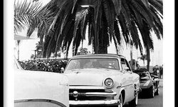 Plexiglas schilderij Classic Car Under A Palm Tree