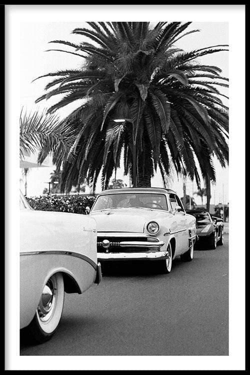 Plexiglas schilderij Classic Car Under A Palm Tree