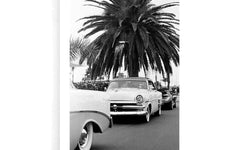 Plexiglas schilderij Classic Car Under A Palm Tree