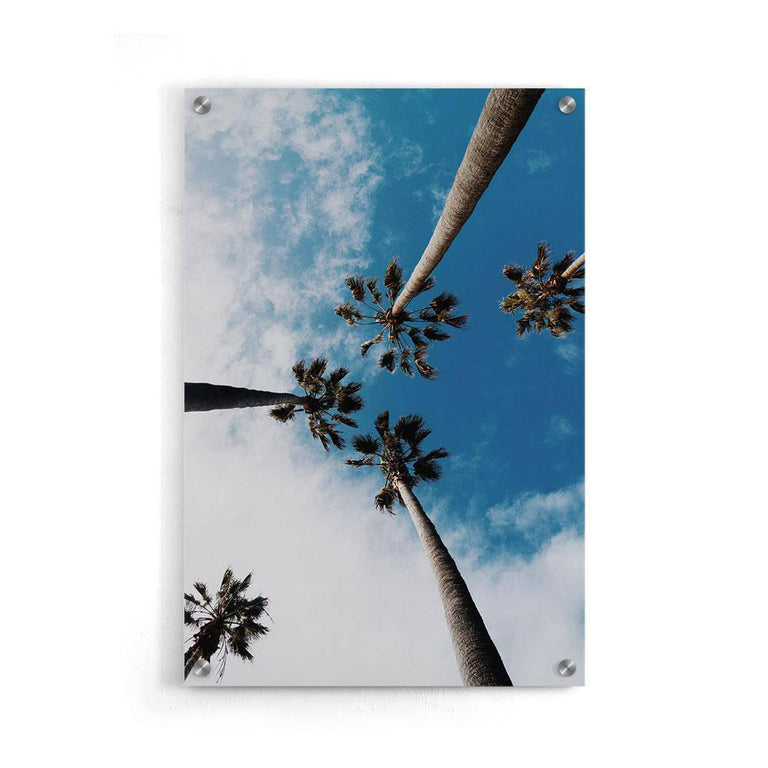 Plexiglas schilderij Palm Sky