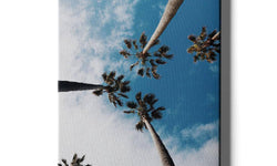 Plexiglas schilderij Palm Sky