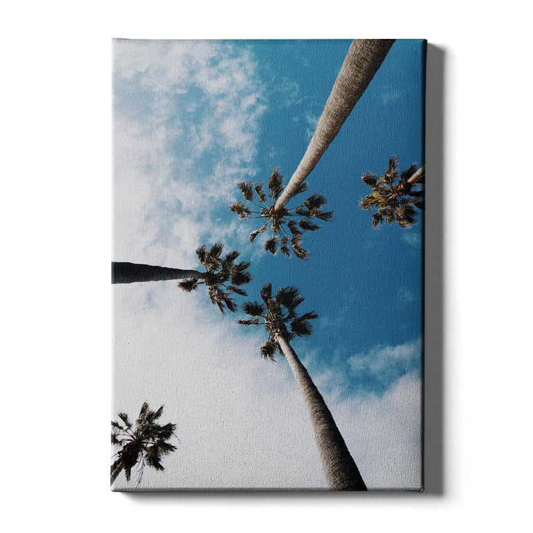 Plexiglas schilderij Palm Sky