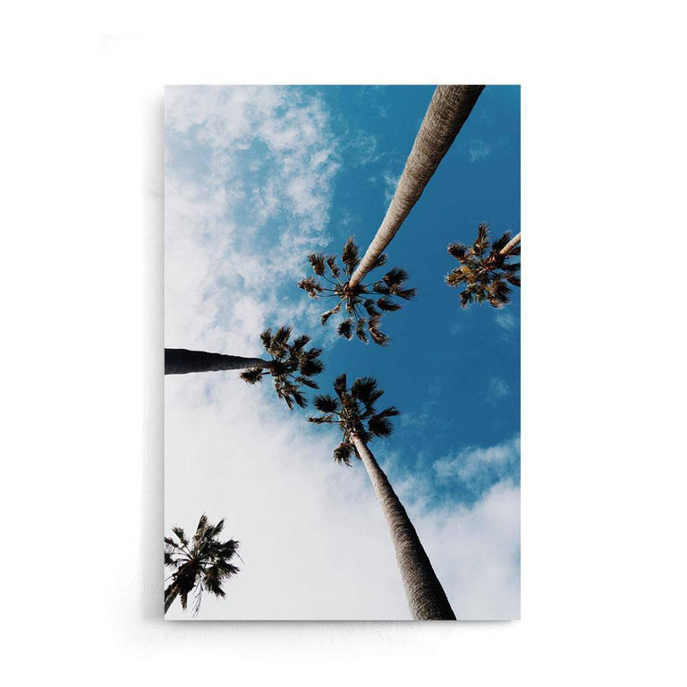 Plexiglas schilderij Palm Sky