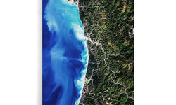 Plexiglas schilderij Redwood National Park