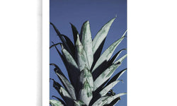 Poster Ananas Bladeren